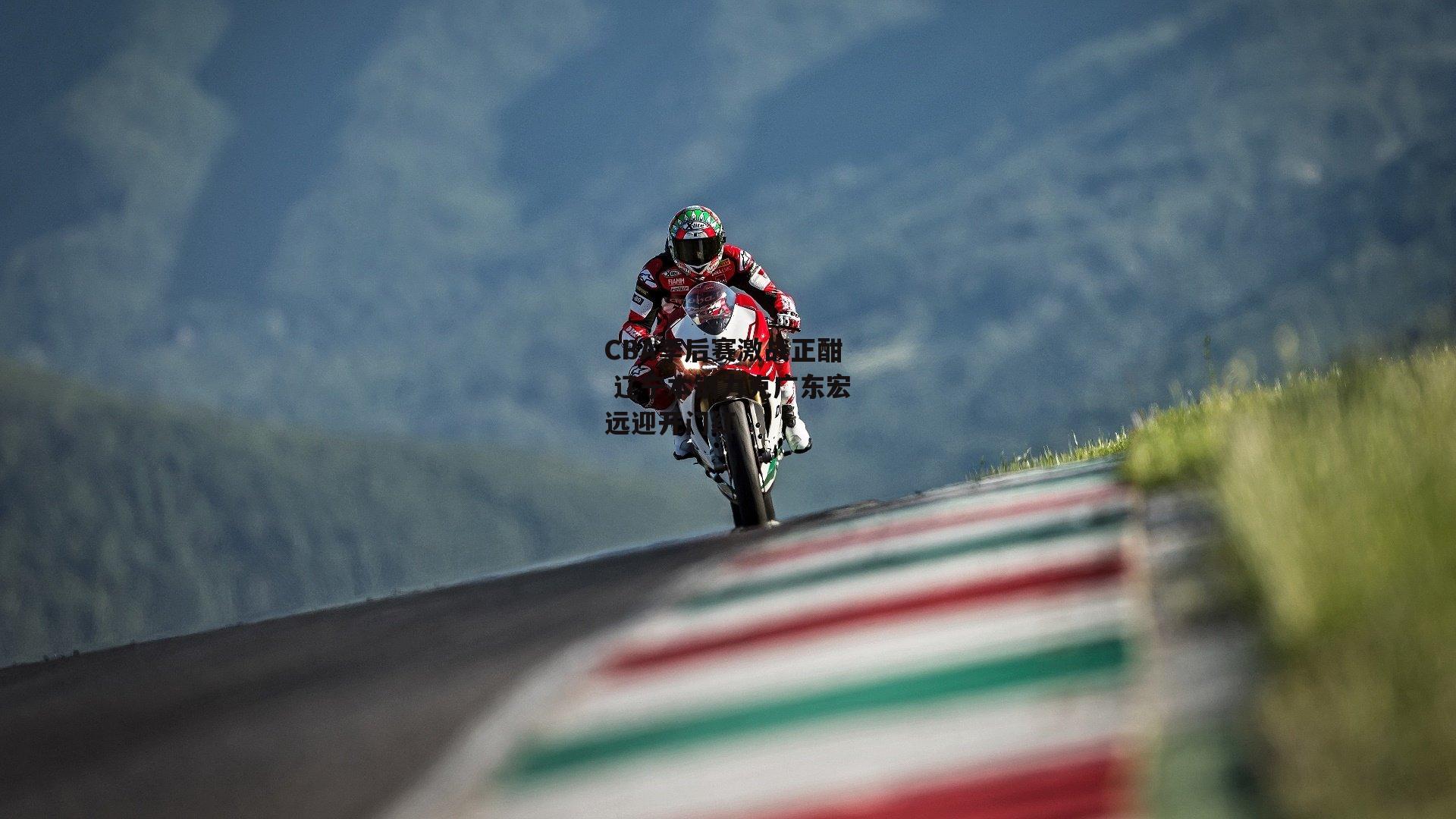 CBA季后赛激战正酣 辽宁本钢力克广东宏远迎开门红_yy易游体育官网